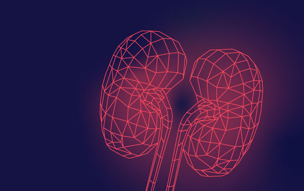 Recherche des causes génétiques des NCCi :  quand la génétique complète la biopsie