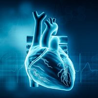 Analyses nutritionnelles et fonctionnelles et prévention cardiovasculaire