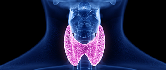 Updated management of thyroid cancers