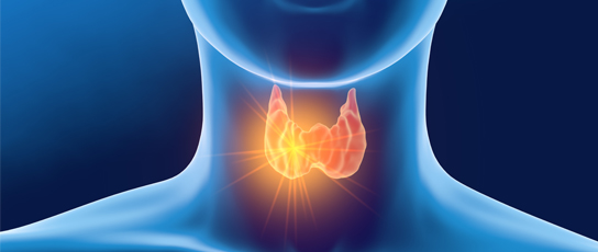 Hyperthyroïdie et grossesse